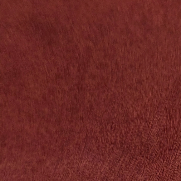 J.Crew Colorblock Calf Hair and Leather Camera Bag, Red/Multi, NWT - Picture 12 of 15